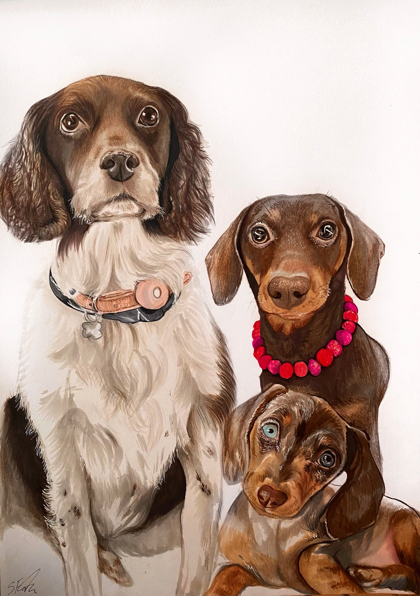 Custom Hand-Drawn Multiple Pet Portrait