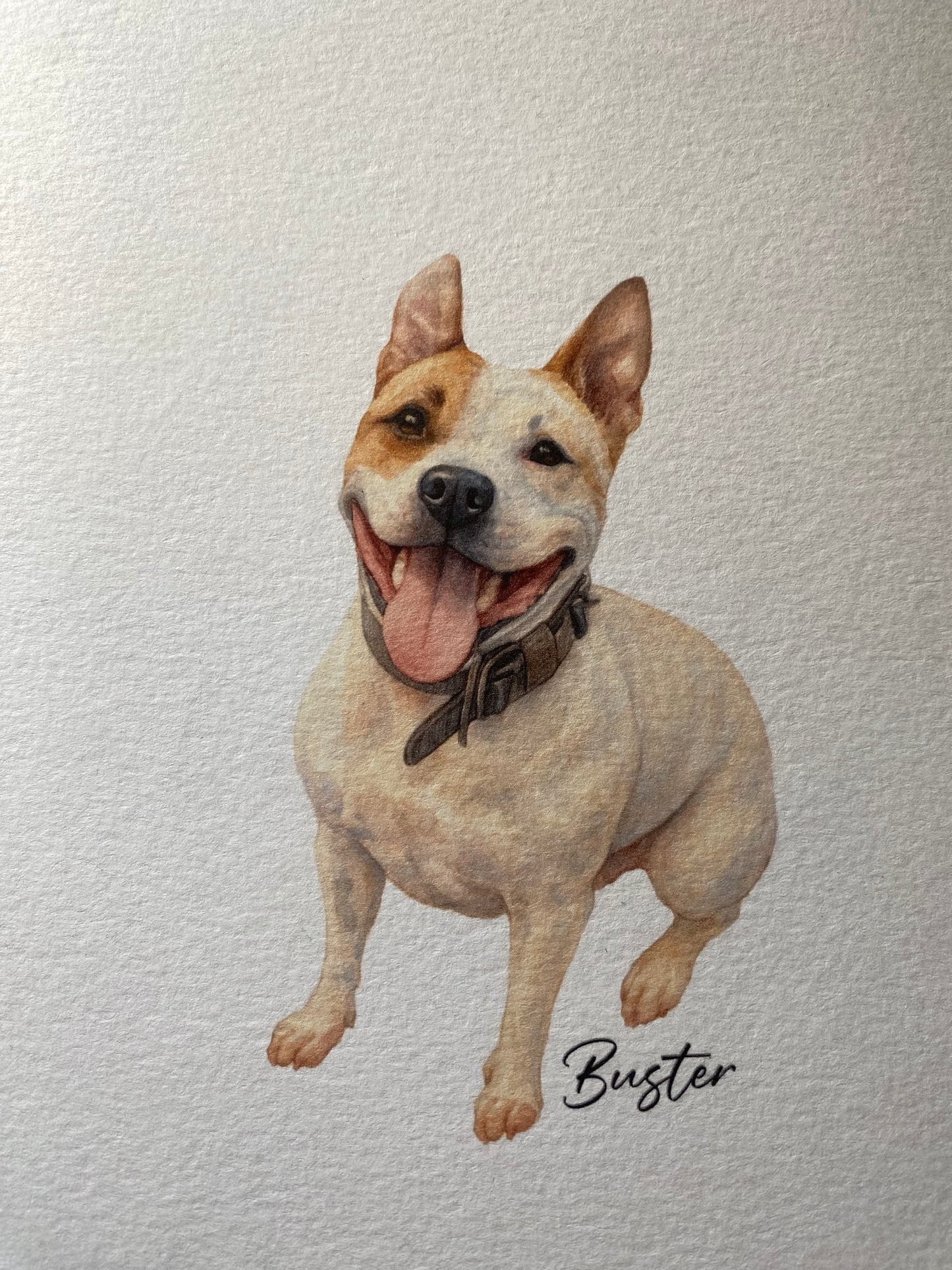 Mini Pet Portrait
