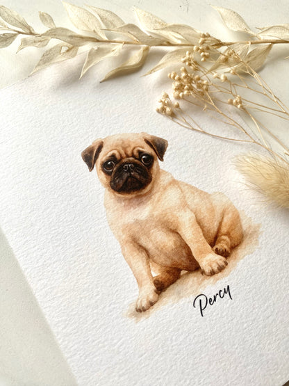 Mini Pet Portrait