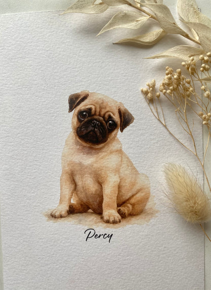 Mini Pet Portrait