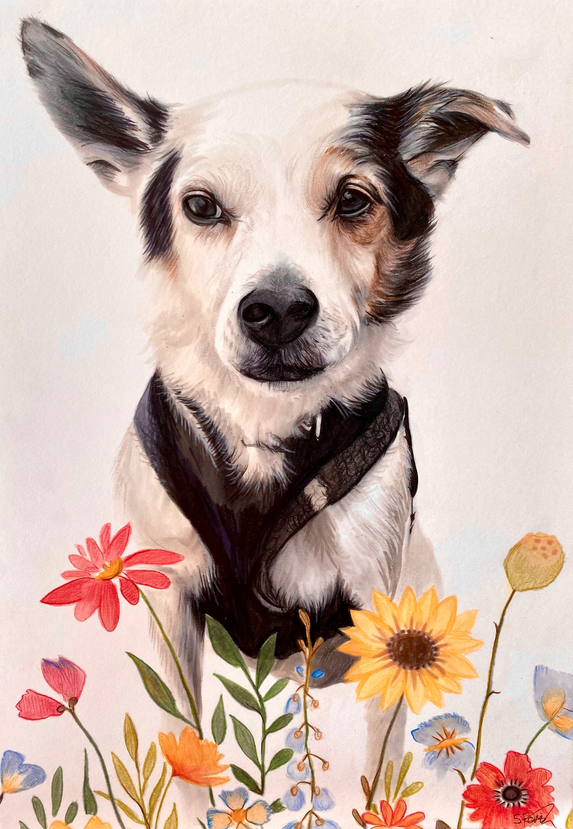 Custom Hand-Drawn Single Pet Portrait A5 148 x 210 mm No extras