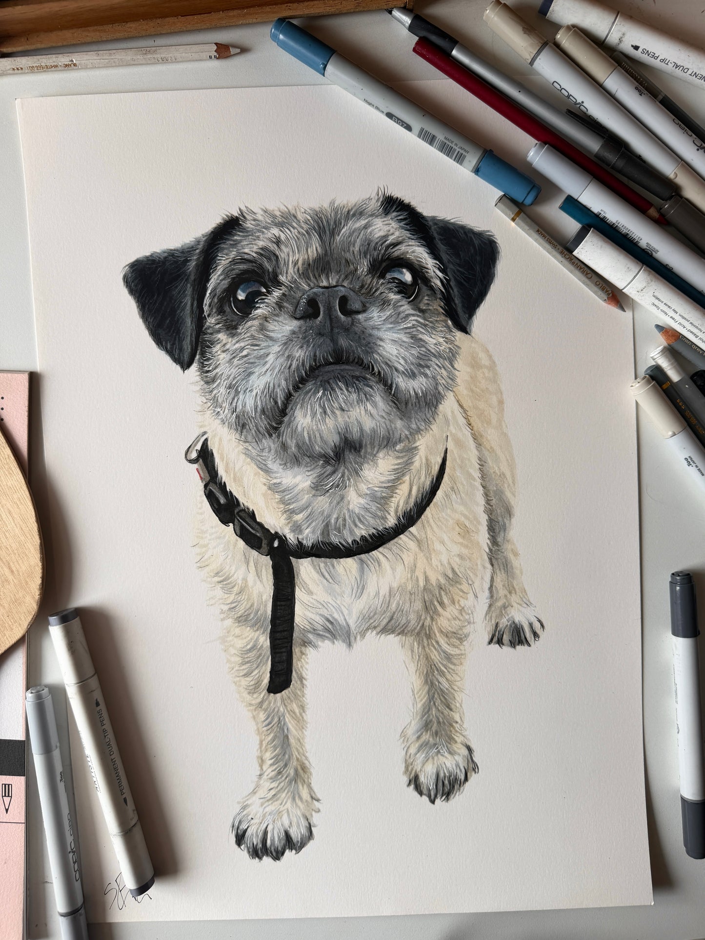 Custom Hand-Drawn Single Pet Portrait